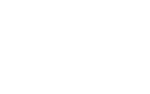 2205 cfc vincentdepaul